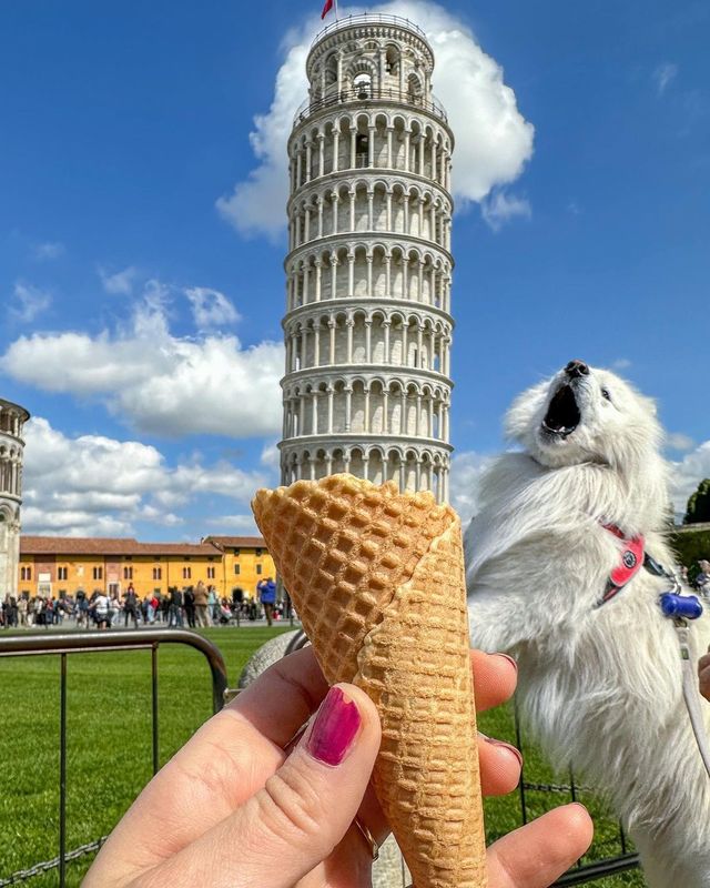 "Disappointing Ice Cream Experience! 😤 Don't Miss These Throwback Photos from Pisa! 📸 Happy Weekend Vibes! 😍