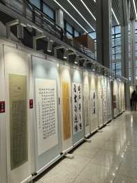 浦東人民好福氣30+藝術課程免費學習