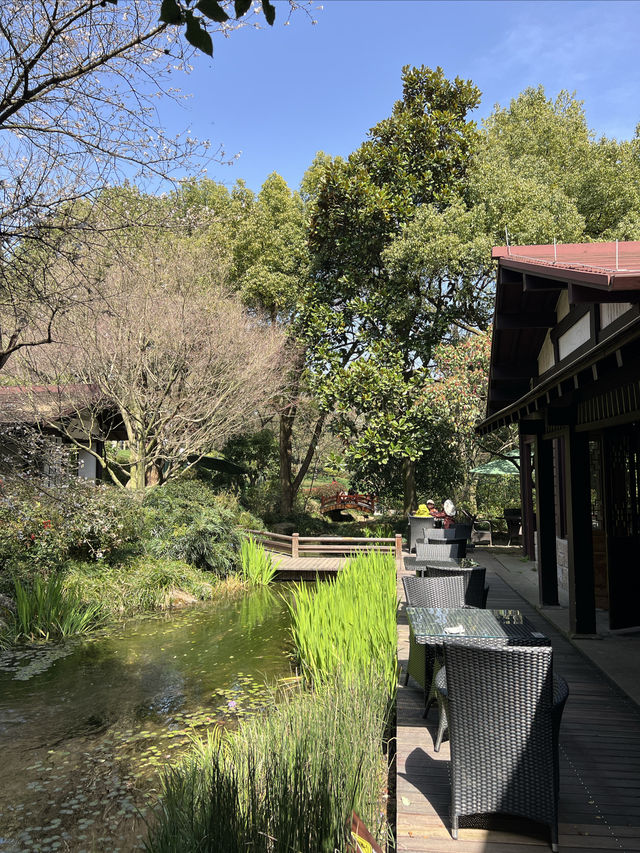 杭州茶博｜不僅只是茶葉博物館，還是個賞花勝地～