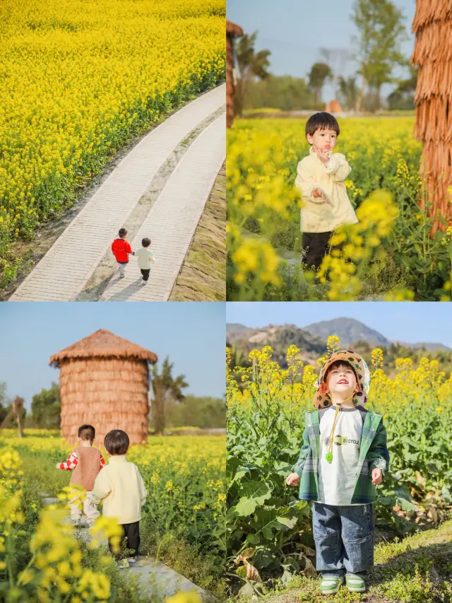 Chengdu Spring Flower Viewing Map | The upcoming Chengdu is like this~