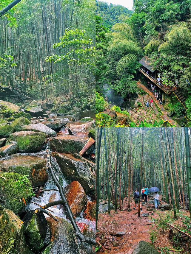 竹海穿行，溯溪而下…精彩的莫干山