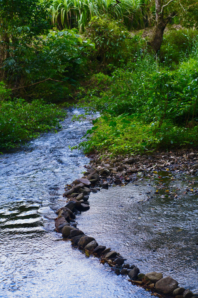 五指山熱帶雨林公園