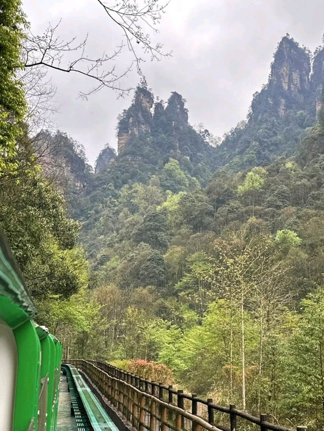 十里画廊下雨天更适合。