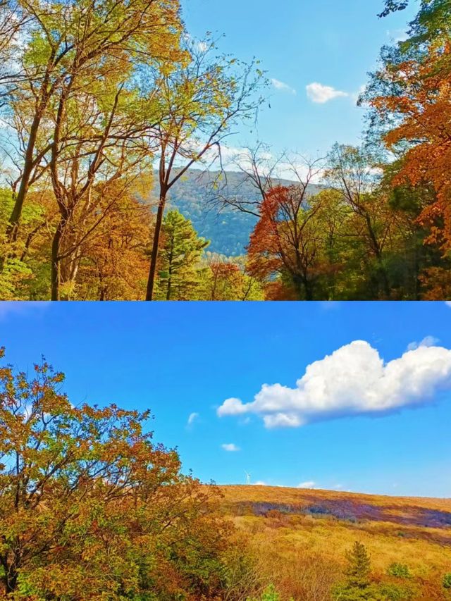 哈爾濱秋季最美觀景