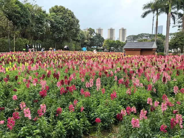 Small parks can hold grand views