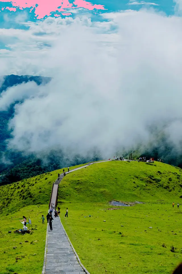 มาเมืองมังก็ต้องไปที่นี่นะคะ!