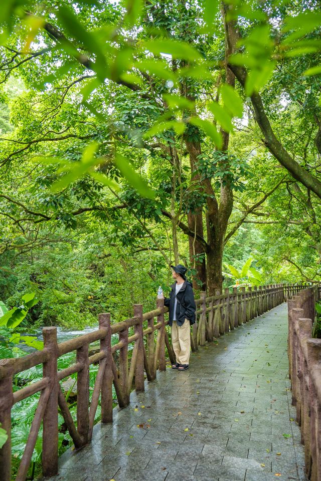 不輸川西！廣州值得N刷的原始森林公園！