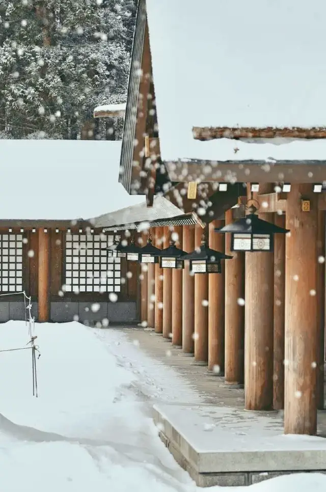 日本札幌北海道神宮｜冬の最も美しい場所