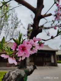 李家大院·積善之家