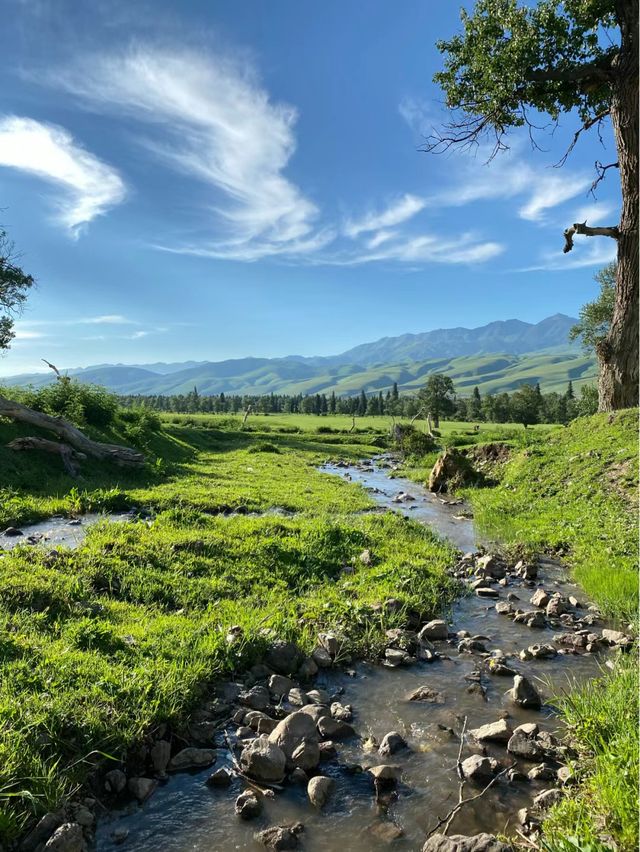 伊犁7天旅遊地圖+路線+攻略