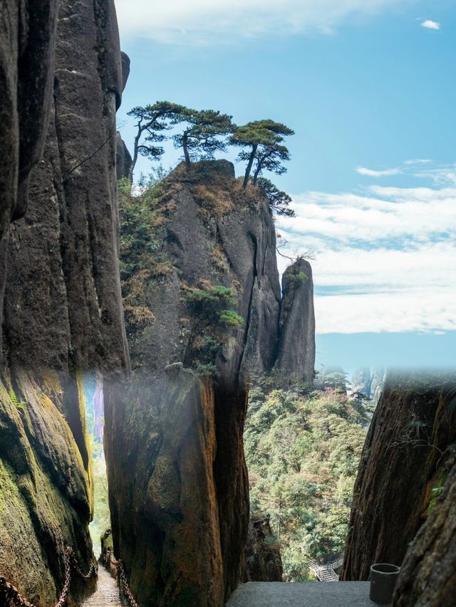 一生去往一次三清山丨天下奇山皆無物