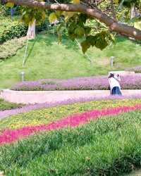 深圳女娲海濱公園/赴一場“花”“海”之約