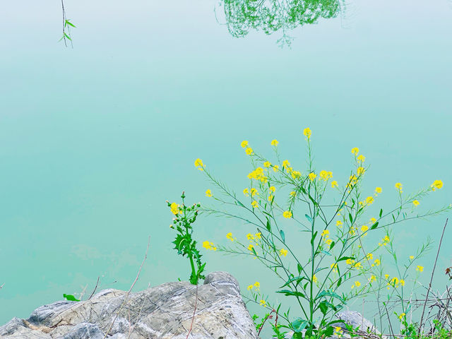 最美人間四月天，景秀芳香春暖花