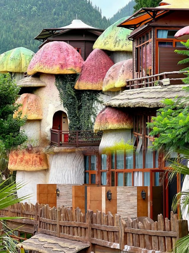 我在貴州住進了真實的蘑菇屋！太美了！！