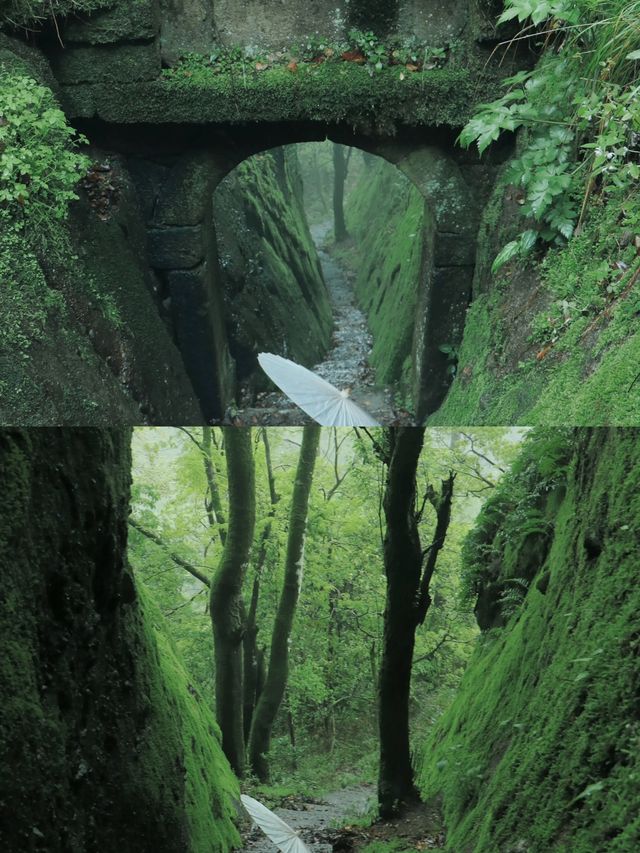 武夷山白雲禪寺，追一場雲海日出！