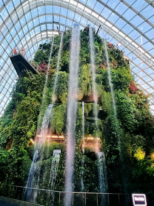 Mind-blowing Cloud Forest Singapore 🇸🇬