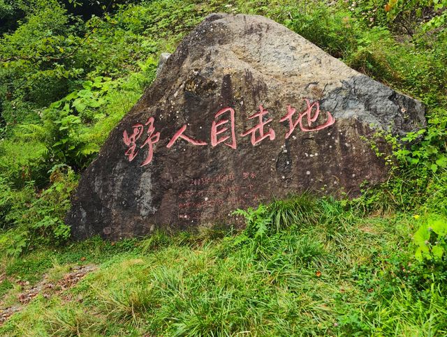 中國唯一以林區命名的行政區，發現野人蹤跡