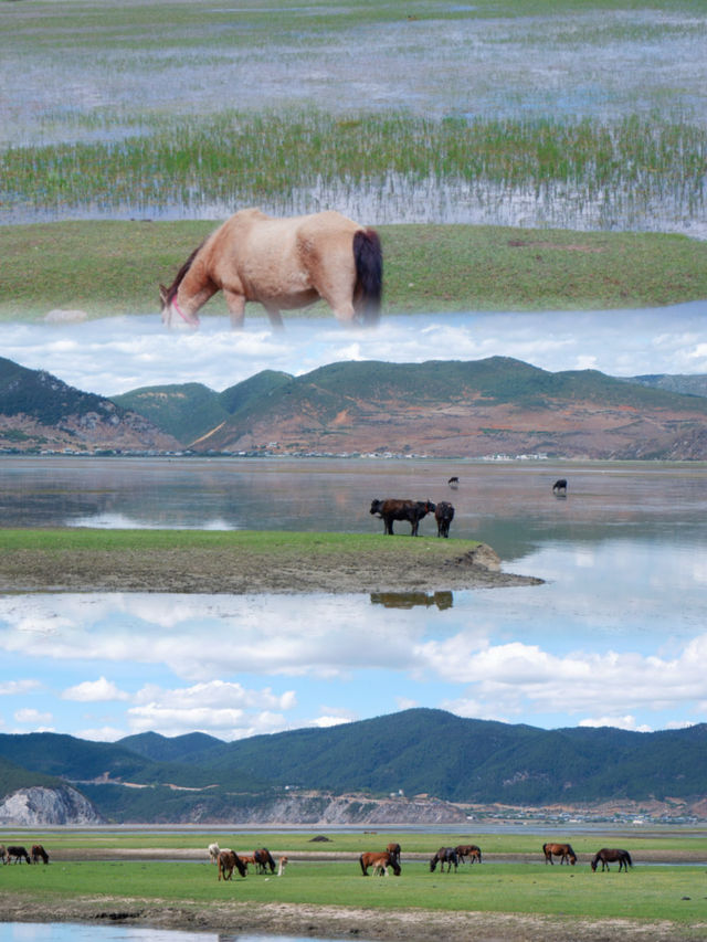 避暑之旅首選，香格里拉