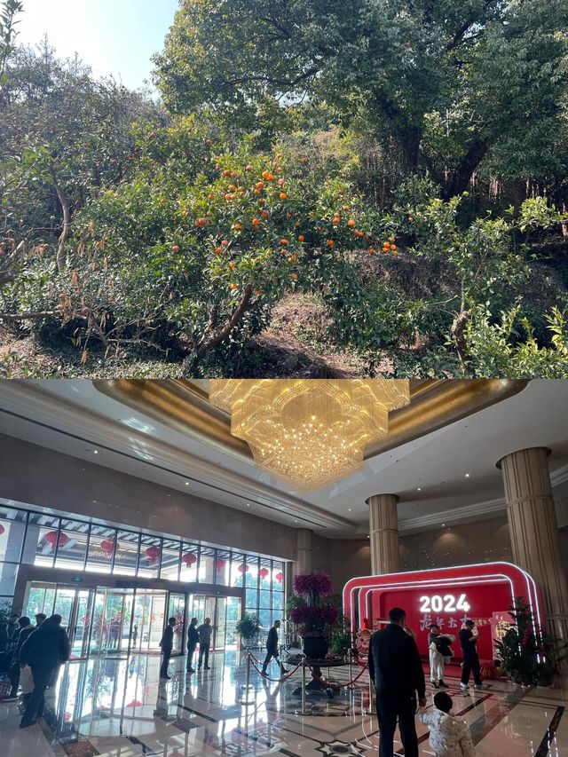 男友真的懂以後來蘇州死磕這家平價酒店 男友真的懂以後來蘇州死磕這家平價酒店