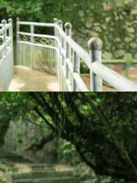 現實版塞爾達？廣西這地方藏得夠深啊……
