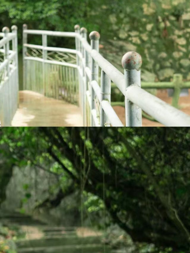現實版塞爾達？廣西這地方藏得夠深啊……