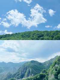 九龍山|玻璃棧道驚險刺激