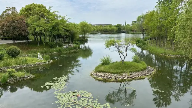 Dongtai Tianxian Yuan—Xixi Scenic Area