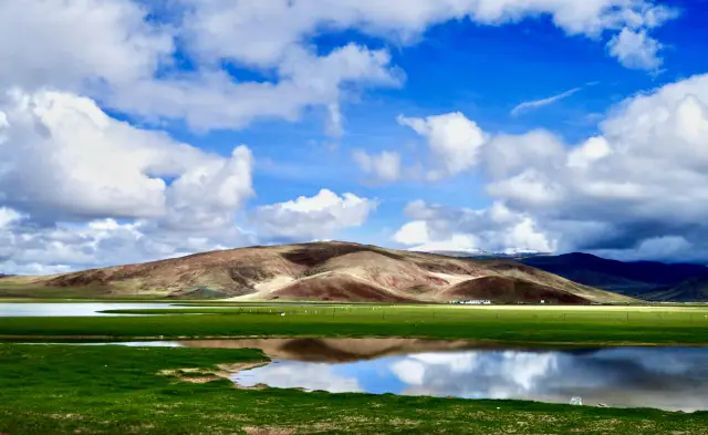 不去青海湖也能喂海鸥：就在西藏班公错