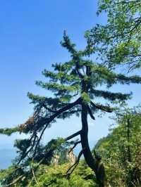 堯山---借得山間一兩風，清我俗世萬千愁