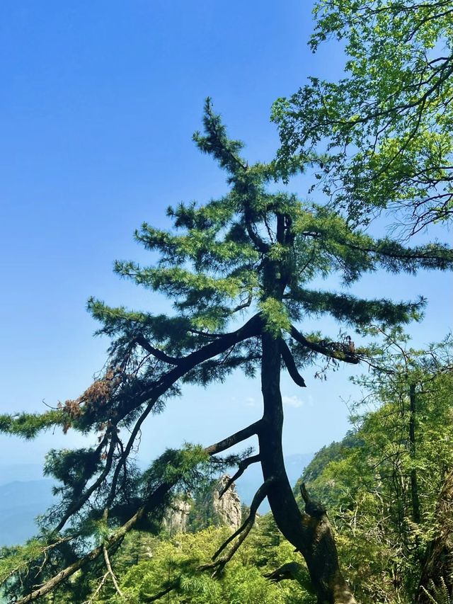 堯山---借得山間一兩風，清我俗世萬千愁