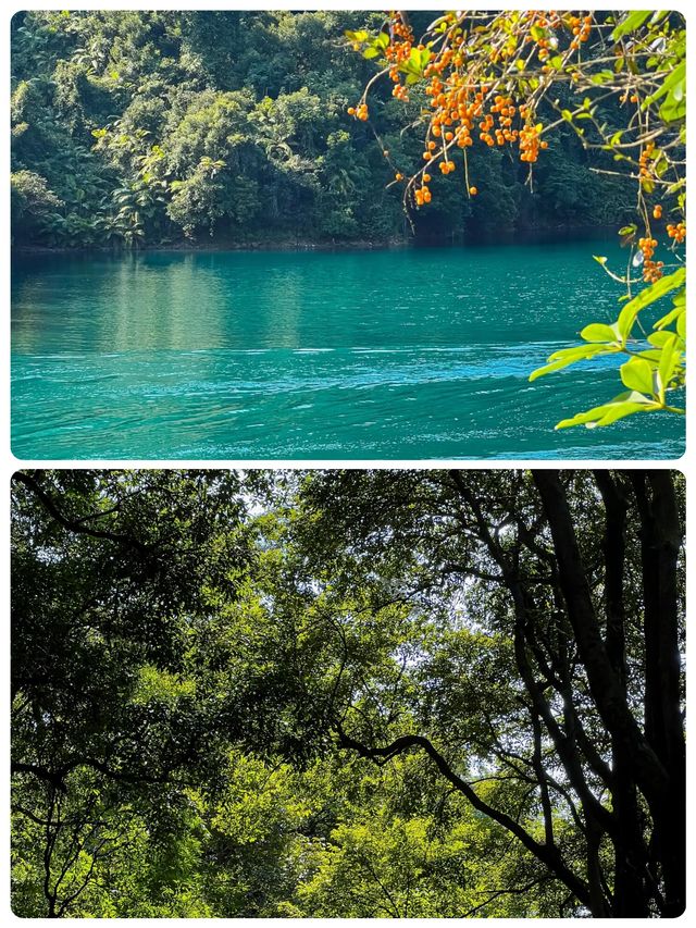不是藍月谷去不起而是鼎湖山更有性價比！