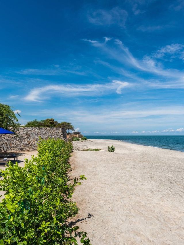 🌴 Santa Marta's Marriott Magic: A Tropical Haven! 🍹
