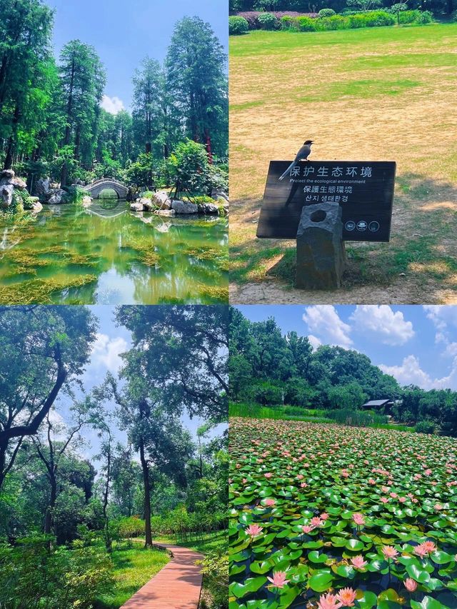 去了99次才寫的東湖磨山攻略徒步+遊玩