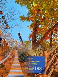 探秘本溪大峽谷，一場刺激與美景並存的冒險之旅！