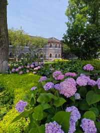 校園比公園還美，華政校園你值得擁有