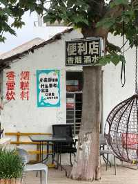 更適合城市寶寶體質的田園村莊