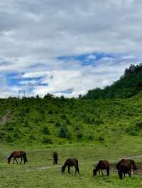 成都周邊｜邂逅川版阿勒泰的美景