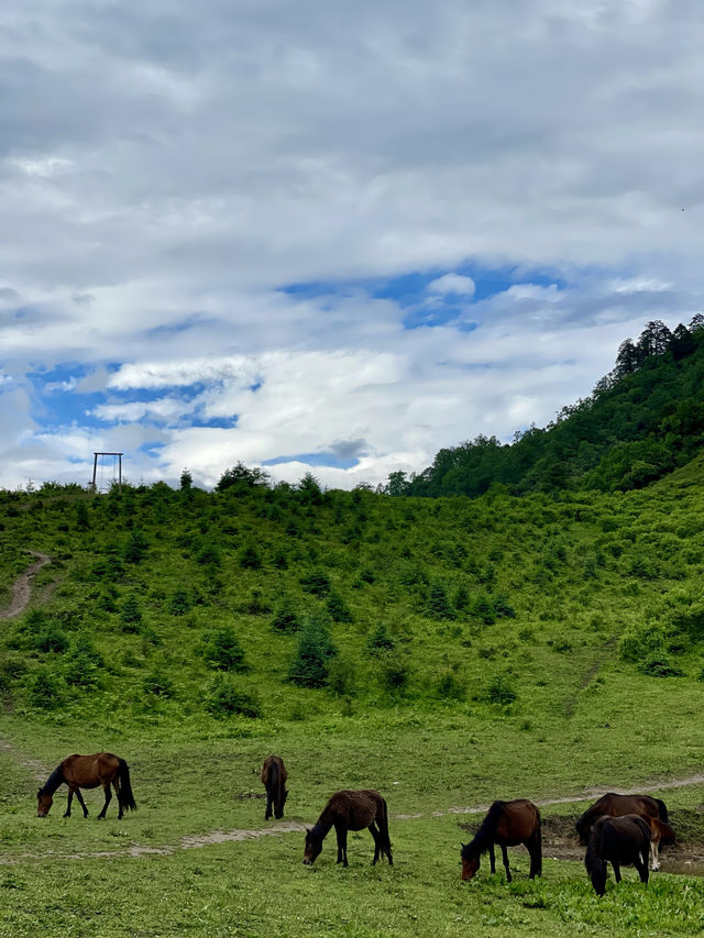 成都周邊｜邂逅川版阿勒泰的美景
