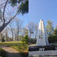 衢州府山公園