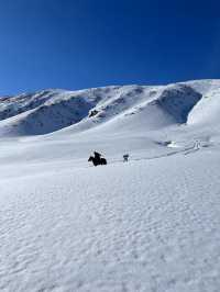 新疆阿勒泰3大滑雪場對比出行必看