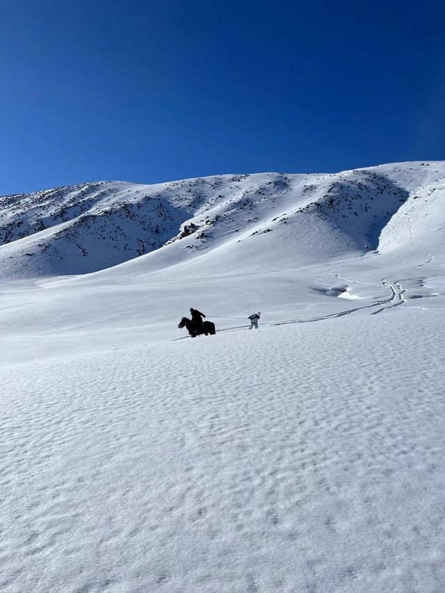 新疆阿勒泰3大滑雪場對比出行必看