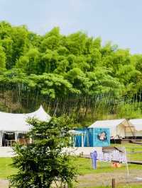 莫干山天際森谷山野樂園遊玩攻略