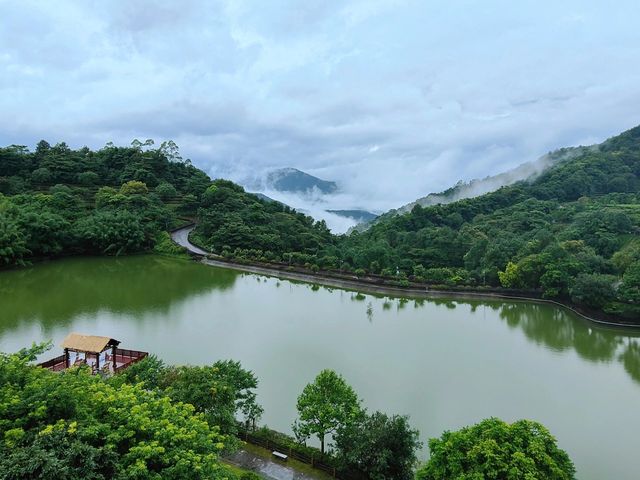 廣東的雲海也是如此壯觀