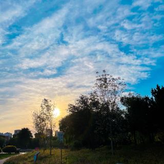 울란차부 보물 놀이터 | 집닝구 식물원
