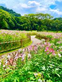 7月1日｜黃埔創新公園｜很出片^_^