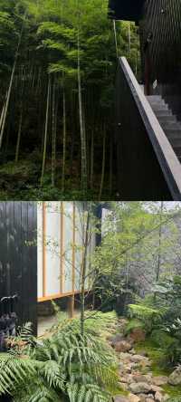 剛從莫干山回來又讓我住進了人生民宿…