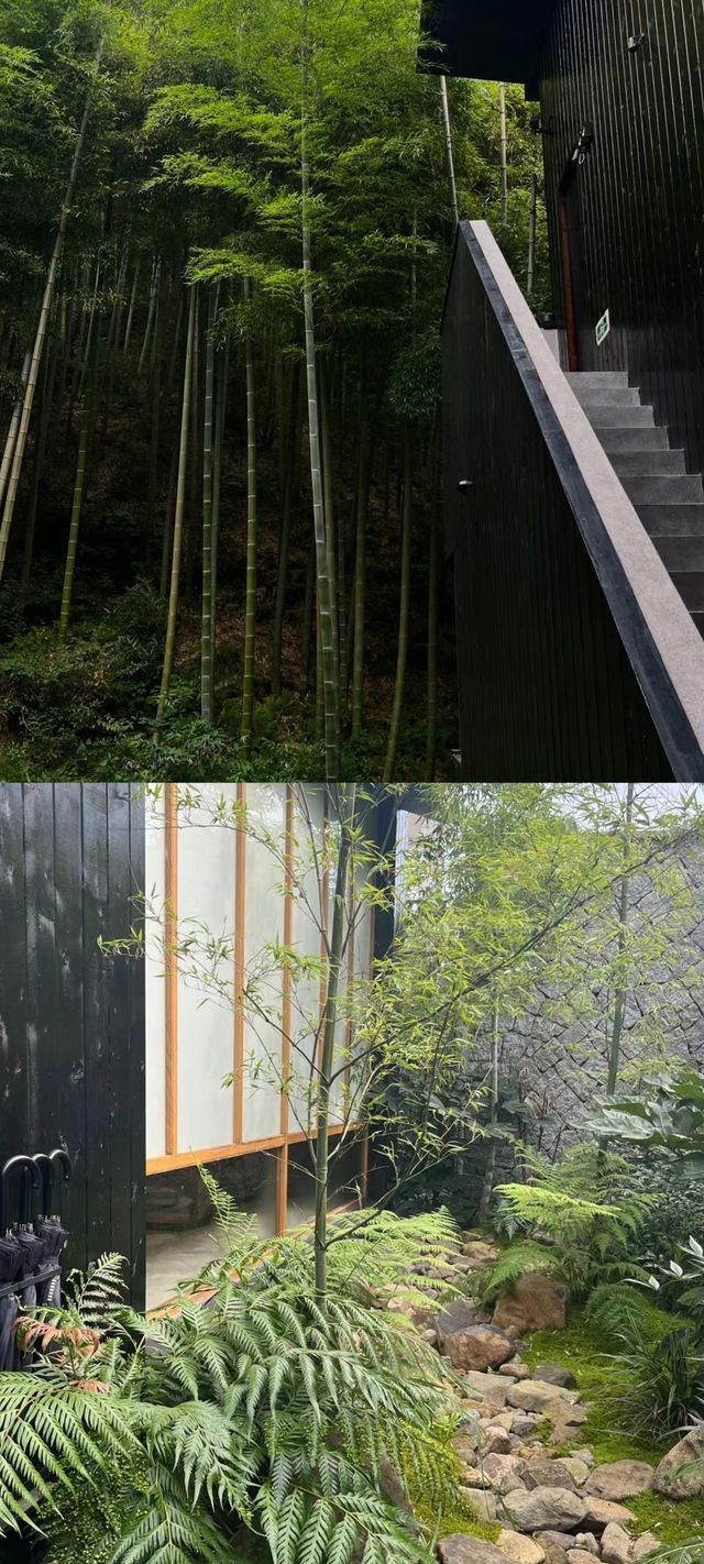 剛從莫干山回來又讓我住進了人生民宿…