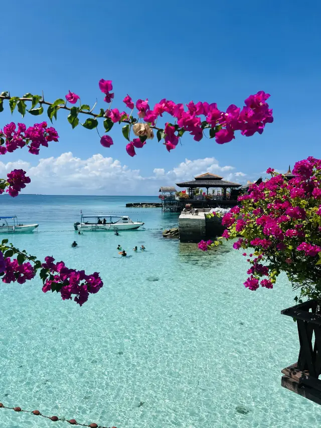 Blast Warning: Semporna 5-Day Dreamy Wonderland Full Guide, taking you on a dive into the underwater fairy tale