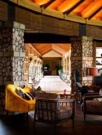 🌴✨ Maui Magic: Top Stay at Hotel Wailea 🌺🏖️