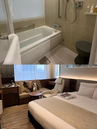 非常凱悅系:杭州逸酒店